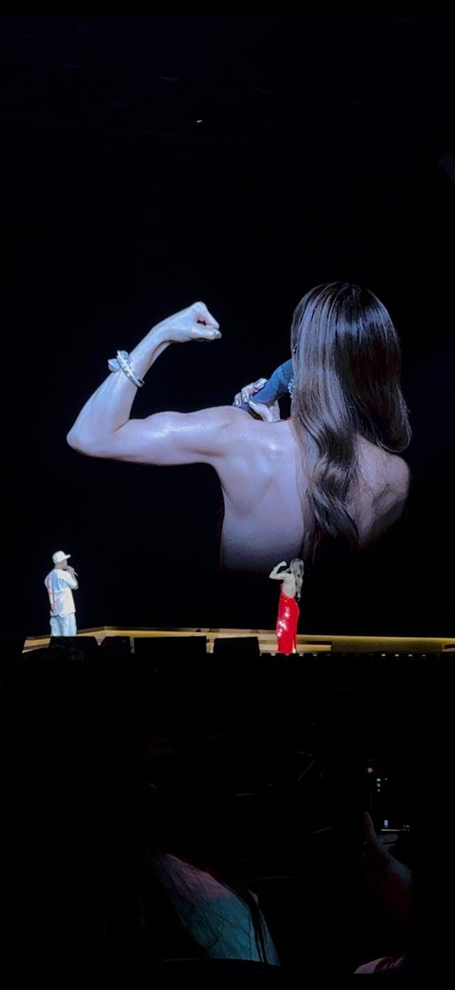 鄧麗欣Stephy澳門開個唱,大騷「老鼠仔」。(網上圖片)