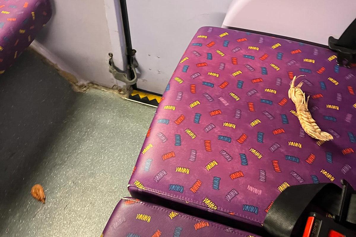 有乘客搭巴士在車廂遇到兩隻蝦。(Threads用戶ming8191圖片)