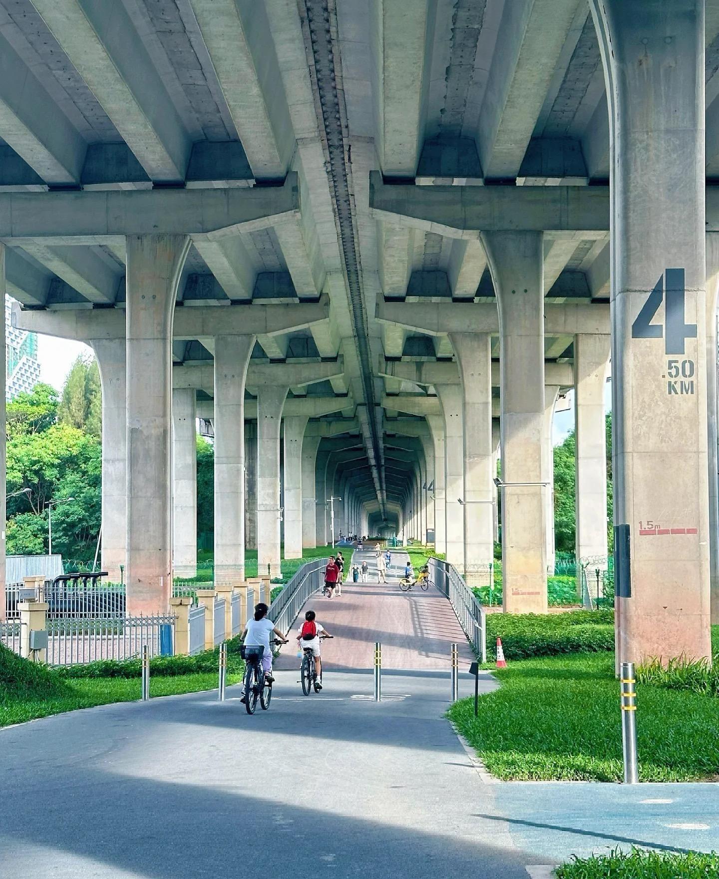 這路段以橋底水泥風格建稱,柱身顯示以0-5顯示騎行的里數,別具特色。(圖片來源:下班去騎車@小紅書)