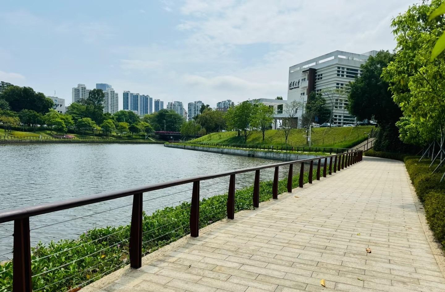 上游是大學城區,是深圳最具學術文化氣息的騎行道。圖中是清華大學深圳分校。(圖片來源:2947955560@小紅書)