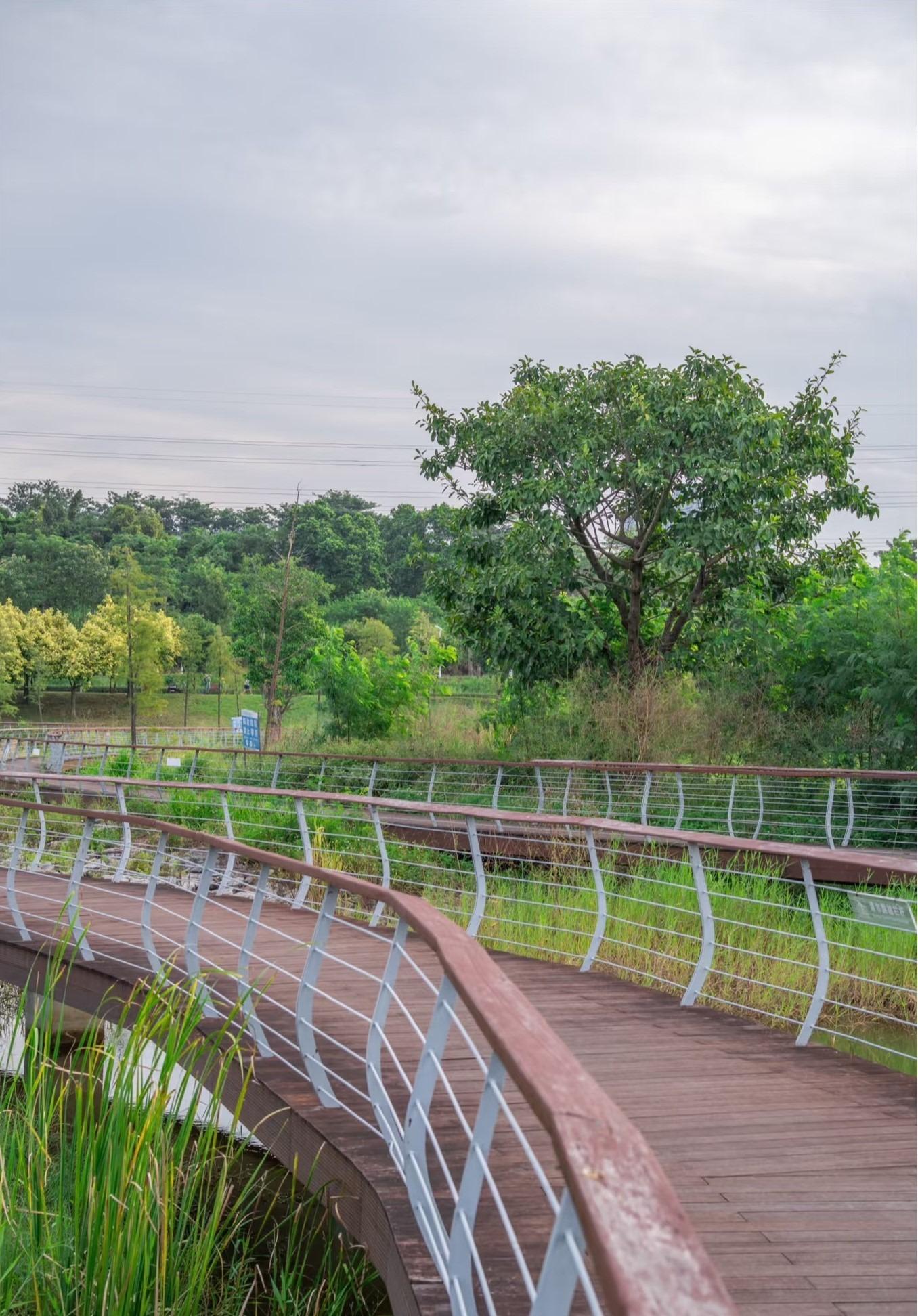 環石岩湖綠道整體鋪設3.5米闊透水軟性路面,部分區域設有4米闊生態木淺道,漫步及踏單車都很適宜。(圖片來源:5653633496@小紅書)