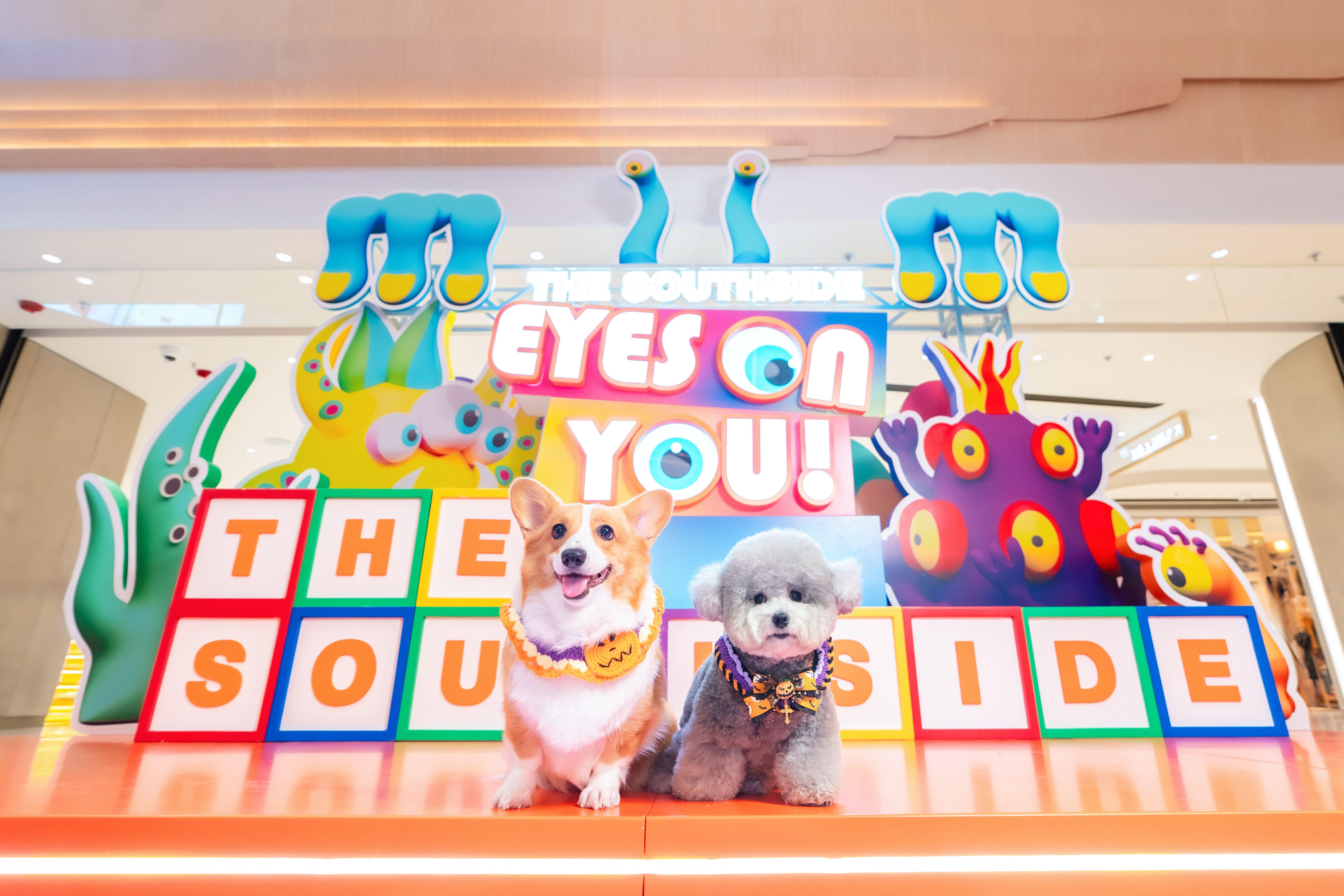 不妨為愛寵換上節日造型。