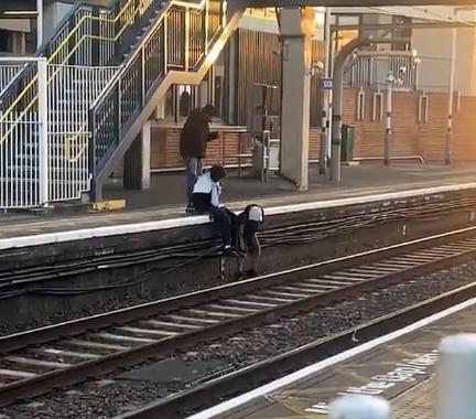 幾名青年「幫助」女事主撿回手機。(互聯網)