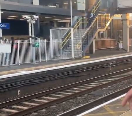 幾名青年「幫助」女事主撿回手機。(互聯網)