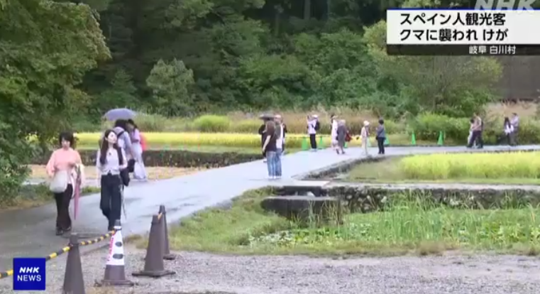 日本白川鄉合掌村驚爆黑熊襲擊遊客 西班牙男受傷送院