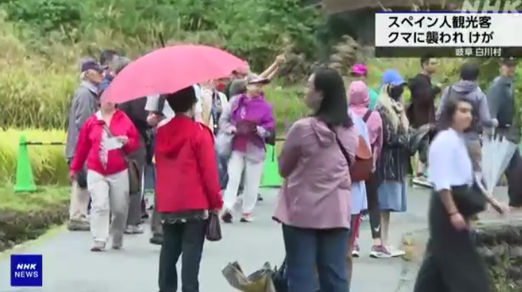 日本白川鄉合掌村驚爆黑熊襲擊遊客 西班牙男受傷送院