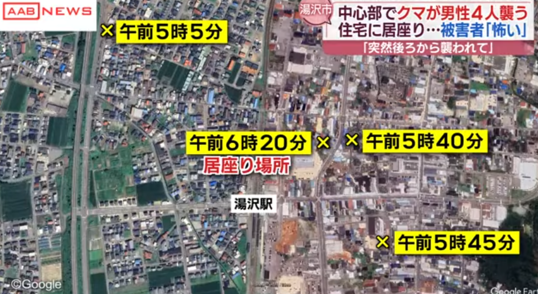 日本旅遊|秋田縣黑熊闖市區4人傷 闖入商廈躲進住宅逾24小時(有片)