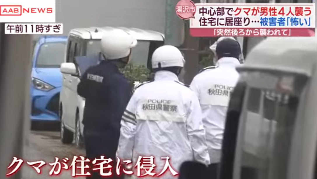 日本旅遊|秋田縣黑熊闖市區4人傷 闖入商廈躲進住宅逾24小時(有片)