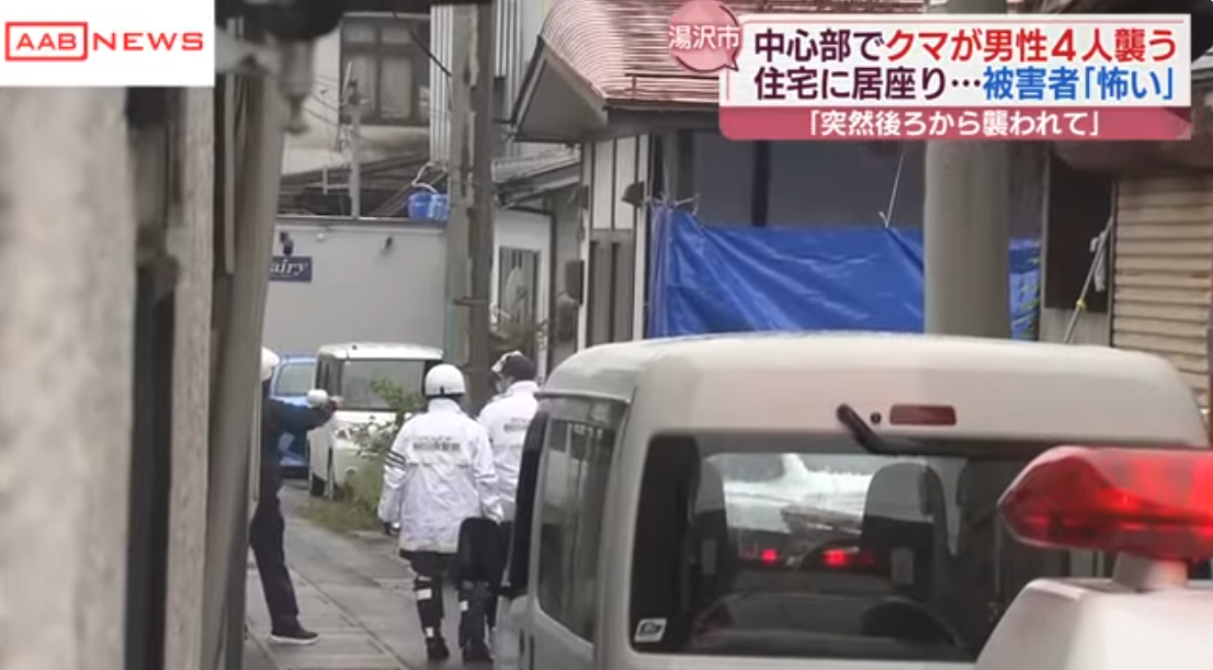日本旅遊|秋田縣黑熊闖市區4人傷 闖入商廈躲進住宅逾24小時(有片)