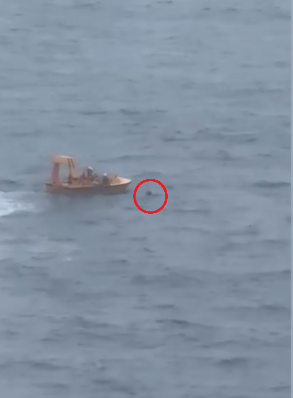 迪士尼郵輪5歲女童墮海案 調查指媽媽叫女兒爬窗台拍照引致