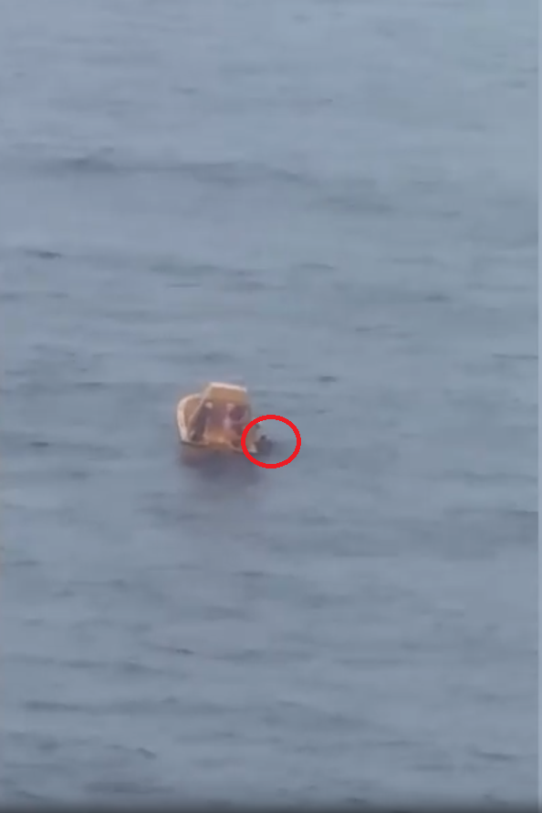 迪士尼郵輪5歲女童墮海案 調查指媽媽叫女兒爬窗台拍照引致