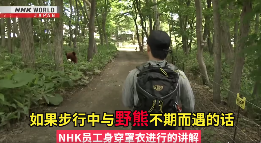 日本一個月64人遭熊襲擊 NHK推中文自保教學片 網民:熊太可愛啦(有片) | 日本旅遊