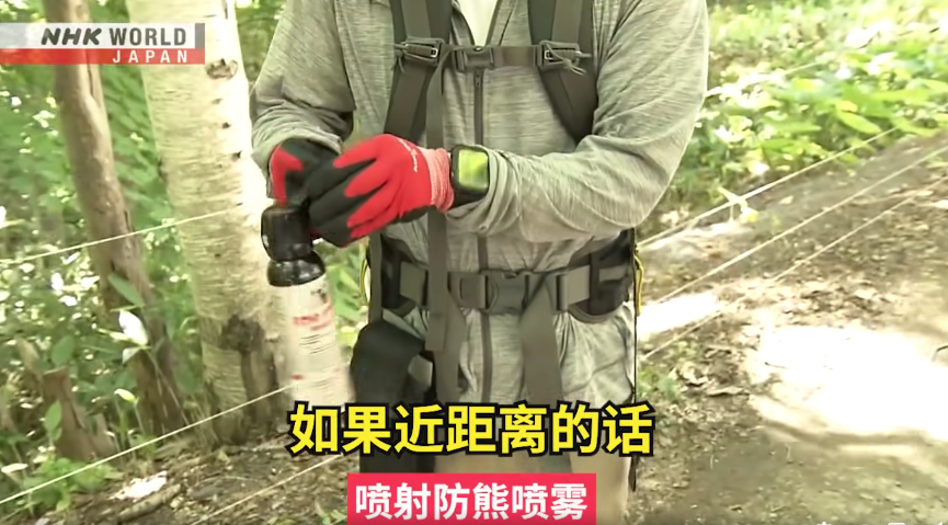 日本一個月64人遭熊襲擊 NHK推中文自保教學片 網民:熊太可愛啦(有片) | 日本旅遊