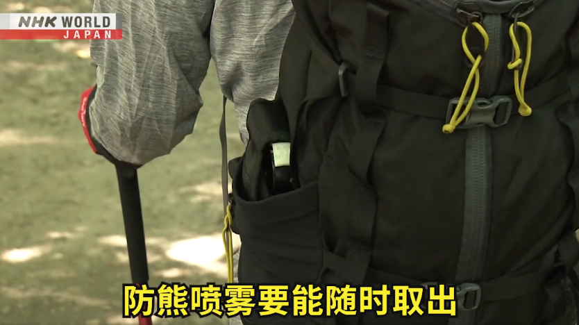 日本一個月64人遭熊襲擊 NHK推中文自保教學片 網民:熊太可愛啦(有片) | 日本旅遊
