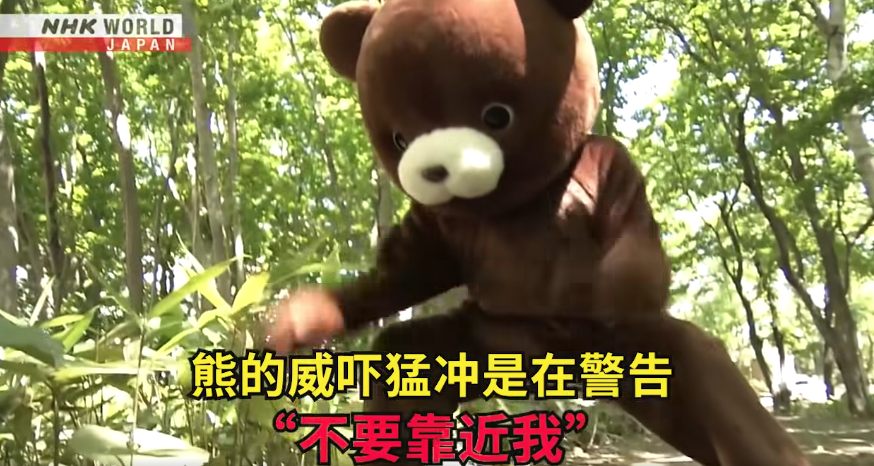 日本一個月64人遭熊襲擊 NHK推中文自保教學片 網民:熊太可愛啦(有片) | 日本旅遊