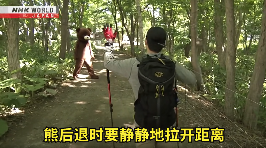 日本一個月64人遭熊襲擊 NHK推中文自保教學片 網民:熊太可愛啦(有片) | 日本旅遊