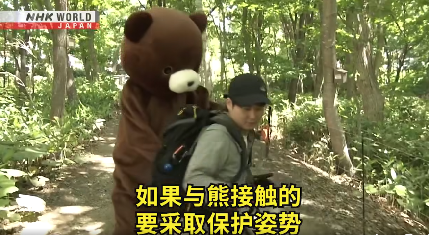 日本一個月64人遭熊襲擊 NHK推中文自保教學片 網民:熊太可愛啦(有片) | 日本旅遊