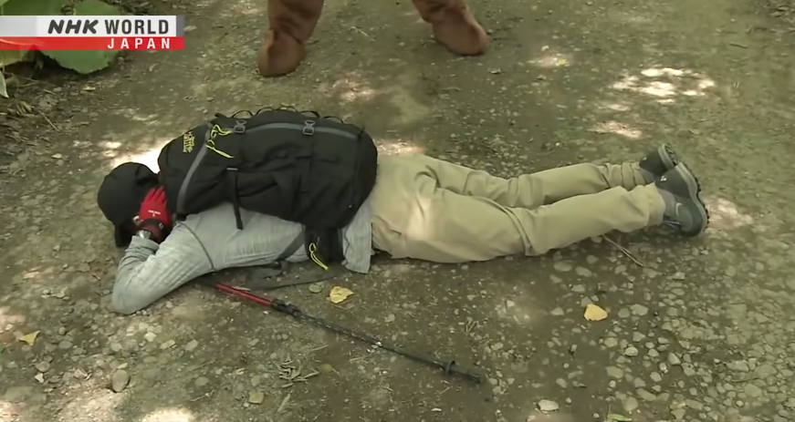 日本一個月64人遭熊襲擊 NHK推中文自保教學片 網民:熊太可愛啦(有片) | 日本旅遊