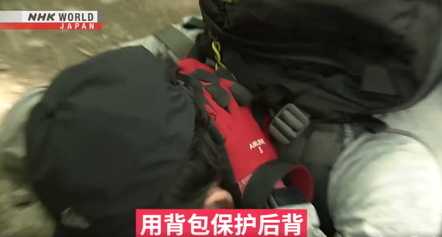 日本一個月64人遭熊襲擊 NHK推中文自保教學片 網民:熊太可愛啦(有片) | 日本旅遊