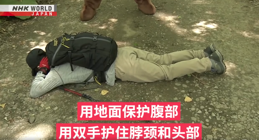 日本一個月64人遭熊襲擊 NHK推中文自保教學片 網民:熊太可愛啦(有片) | 日本旅遊