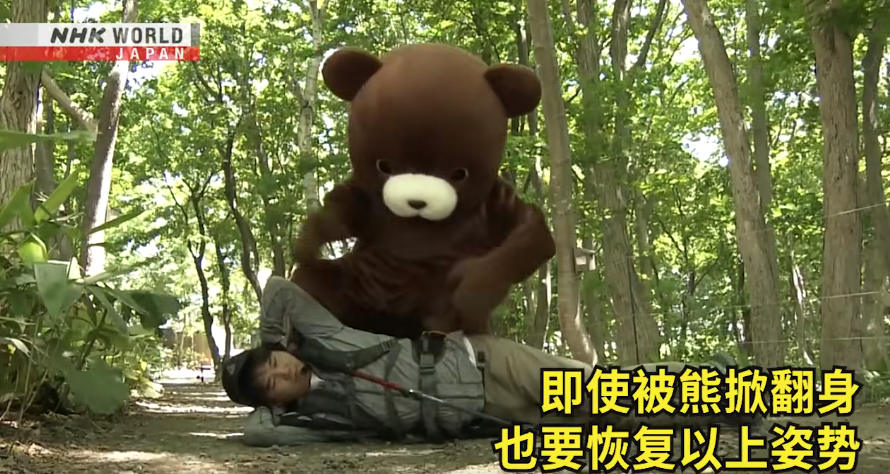 日本一個月64人遭熊襲擊 NHK推中文自保教學片 網民:熊太可愛啦(有片) | 日本旅遊