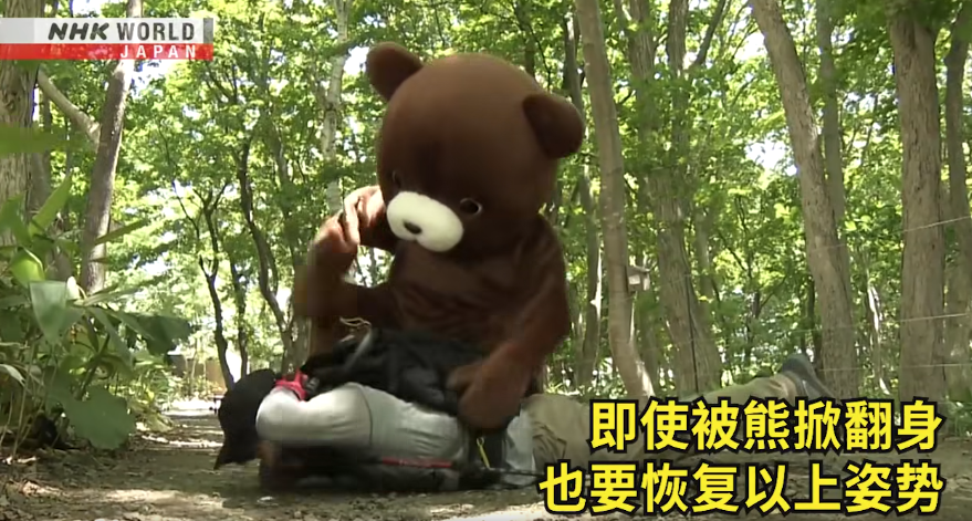 日本一個月64人遭熊襲擊 NHK推中文自保教學片 網民:熊太可愛啦(有片) | 日本旅遊