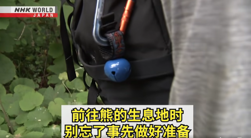 日本一個月64人遭熊襲擊 NHK推中文自保教學片 網民:熊太可愛啦(有片) | 日本旅遊