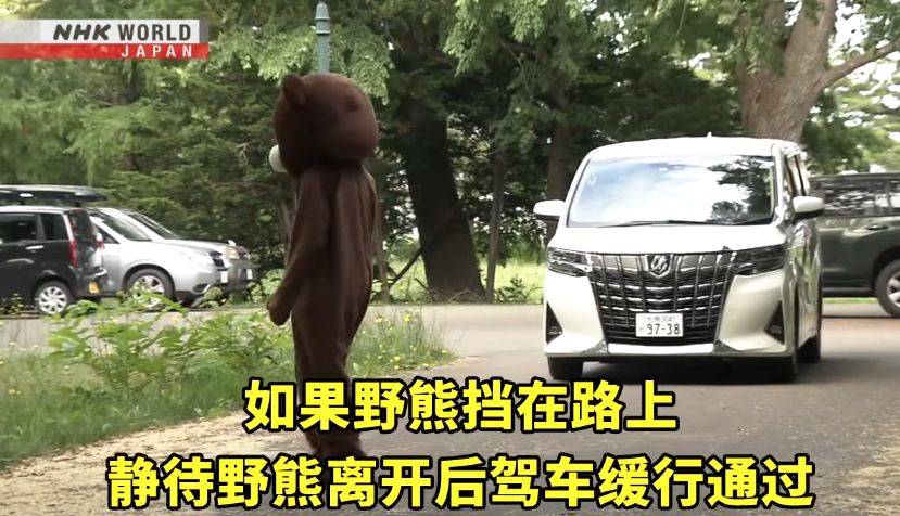 日本一個月64人遭熊襲擊 NHK推中文自保教學片 網民:熊太可愛啦(有片) | 日本旅遊