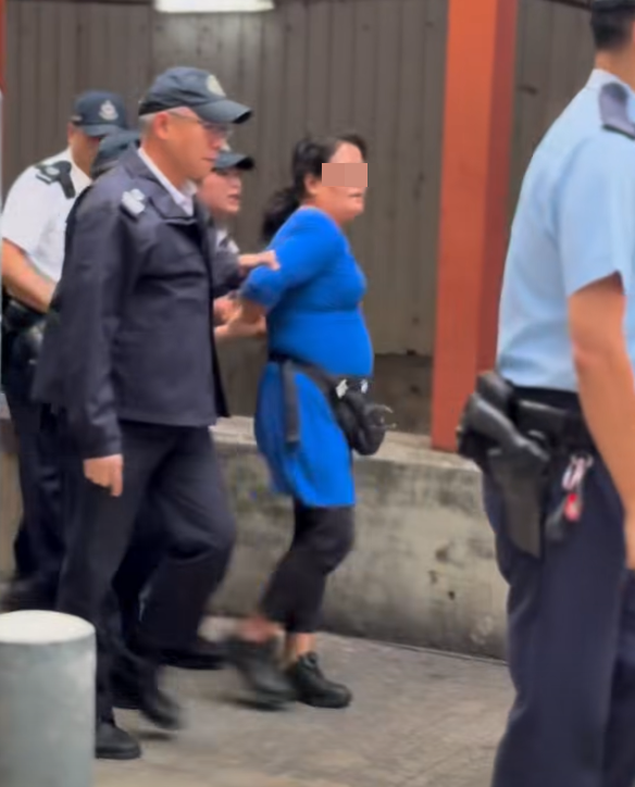多名食環署職員與警員將女檔主帶走(影片截圖)