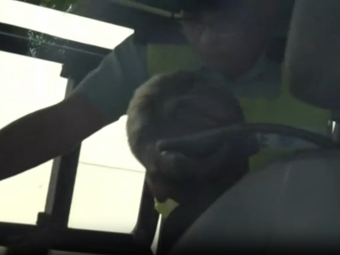 客貨車司機被帶上警車協助調查。(now新聞截圖)