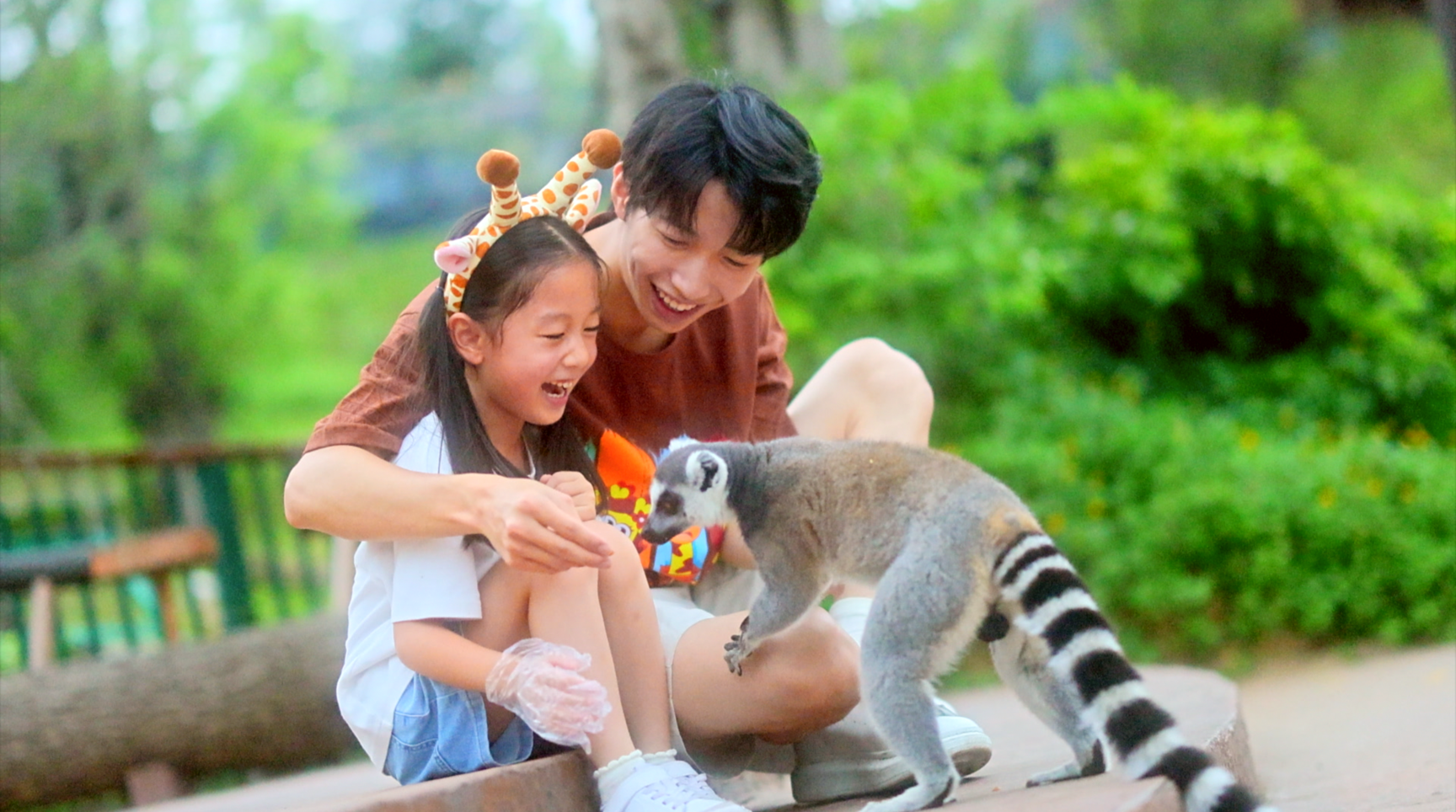 近距離餵節尾猴