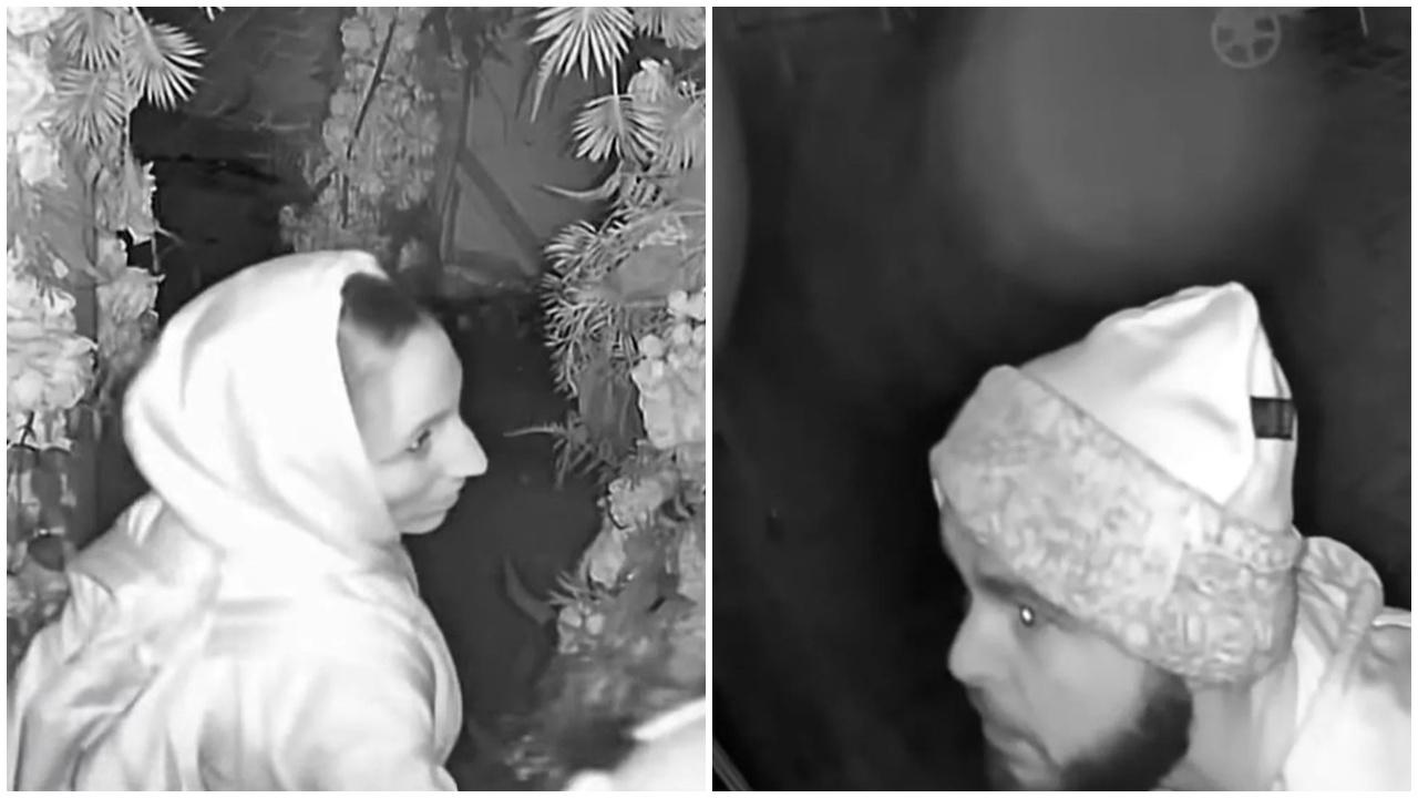 賊鴛鴦爆竊餐廳前熱身?花卉區內先「激戰」。(X)