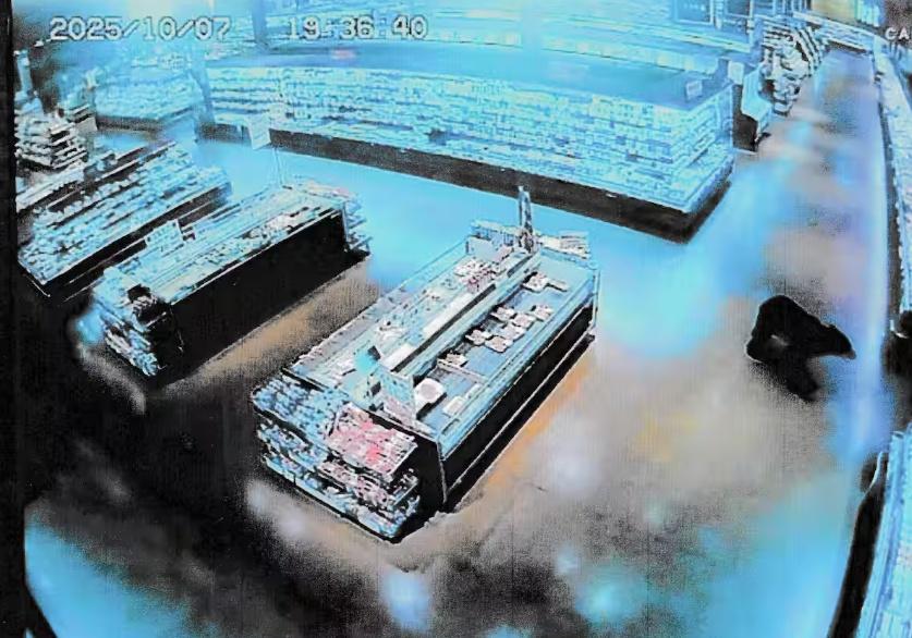 超市經理:野熊不似覓食,看似有點困惑。(YouTube)