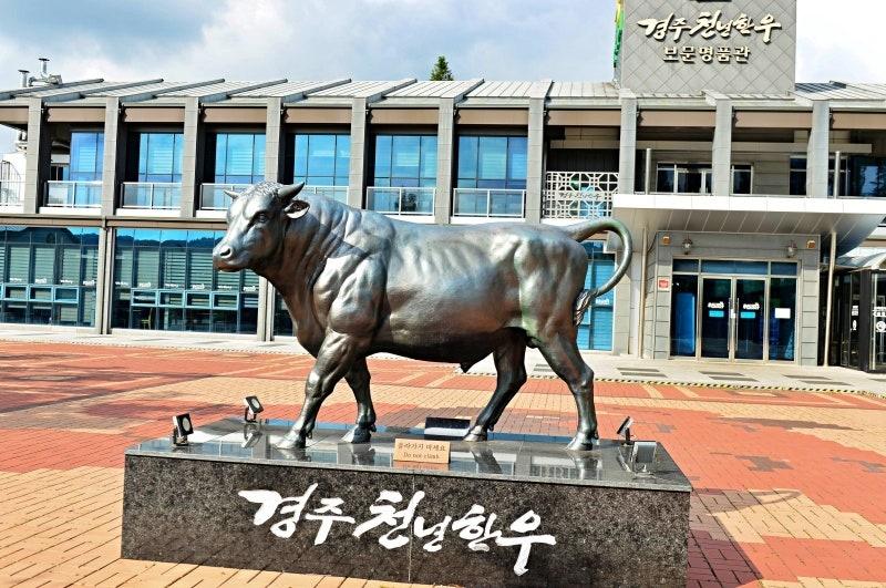 慶州特產「千年韓牛」最被看好入選菜單。(網上圖片)