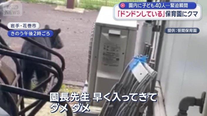 一隻疑似成年的野熊闖入當地托兒所「笹間保育園」後門。(X)