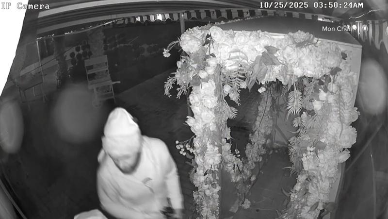 這對賊鴛鴦在行竊前,竟然先在店門口的花卉布置內性交。(X)