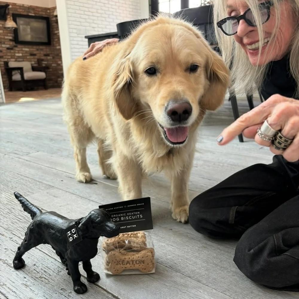 姬頓於2020年收養Reggie。(IG)