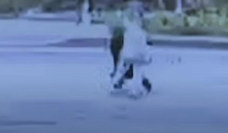 熊跳起來抓傷老婦臉部,老婦尖叫躲避。(YouTube)