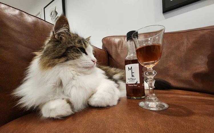 John出身獸醫藥品家庭,他表示自己有足夠知識製作出兼具安全與保健效果的寵物飲品。(X)