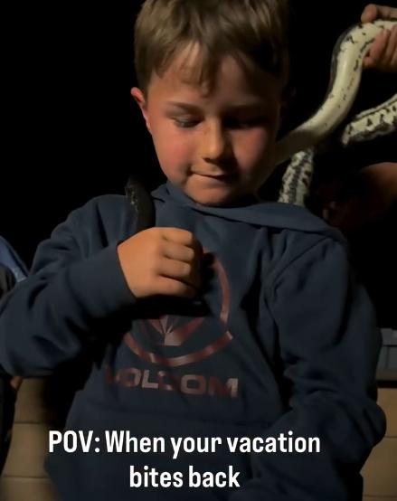 Christie表示,Cruise當時冷靜地轉頭確認蛇的位置,可能是這個突然的動作驚嚇到蛇。(IG)