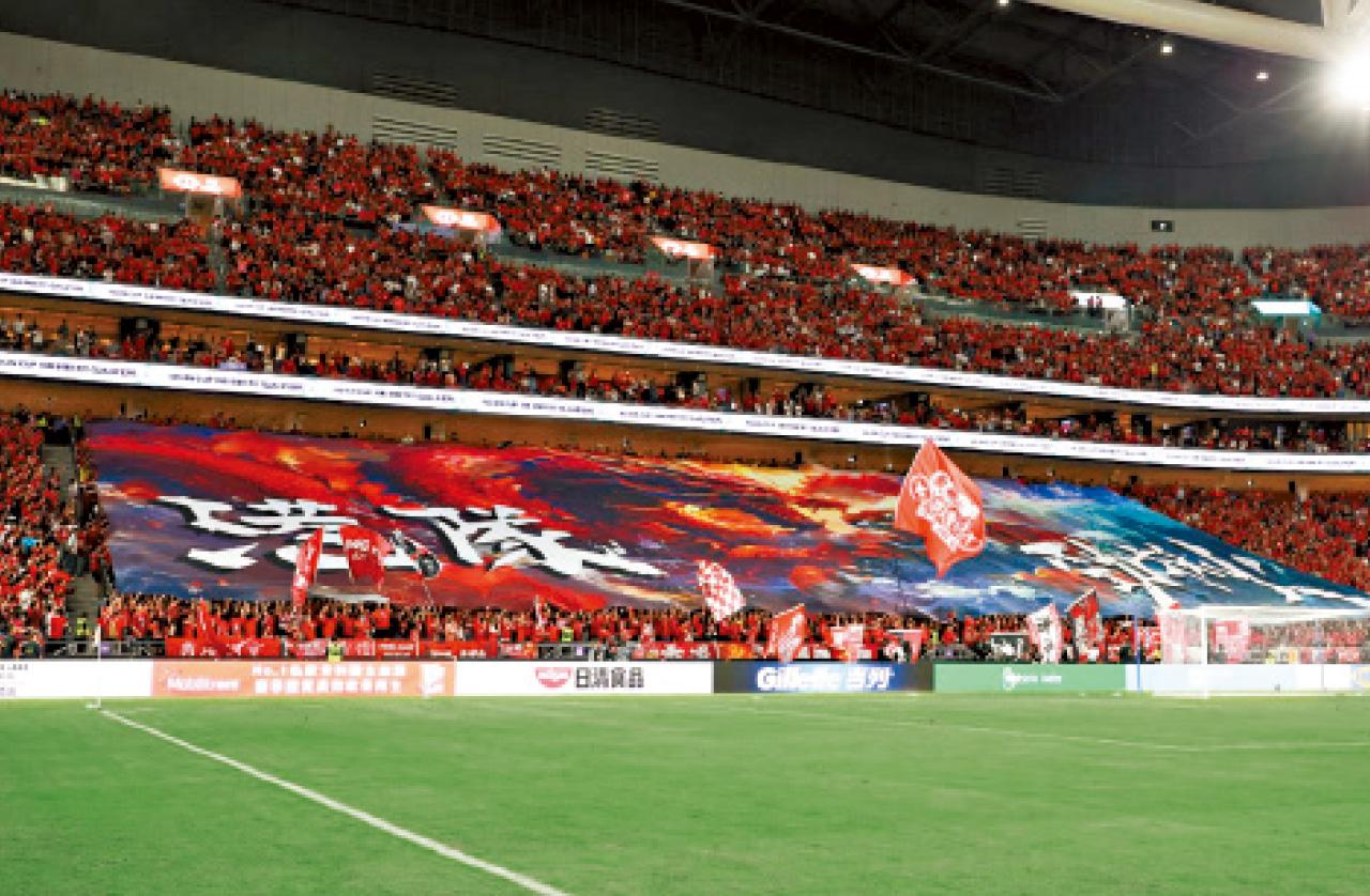 中國香港足球代表隊 球迷