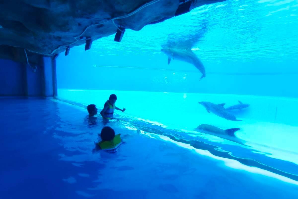 珠海好去處|長隆橫琴灣水世界(圖片來源Trip.com)