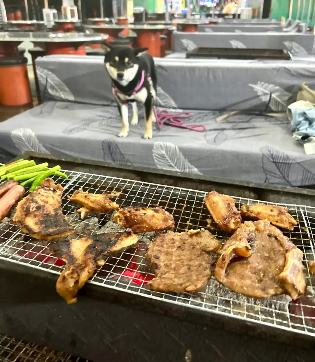 入秋燒烤場推介|大美督嘉年華燒烤BBQ Party(大埔)(圖片來源:Open Rice)