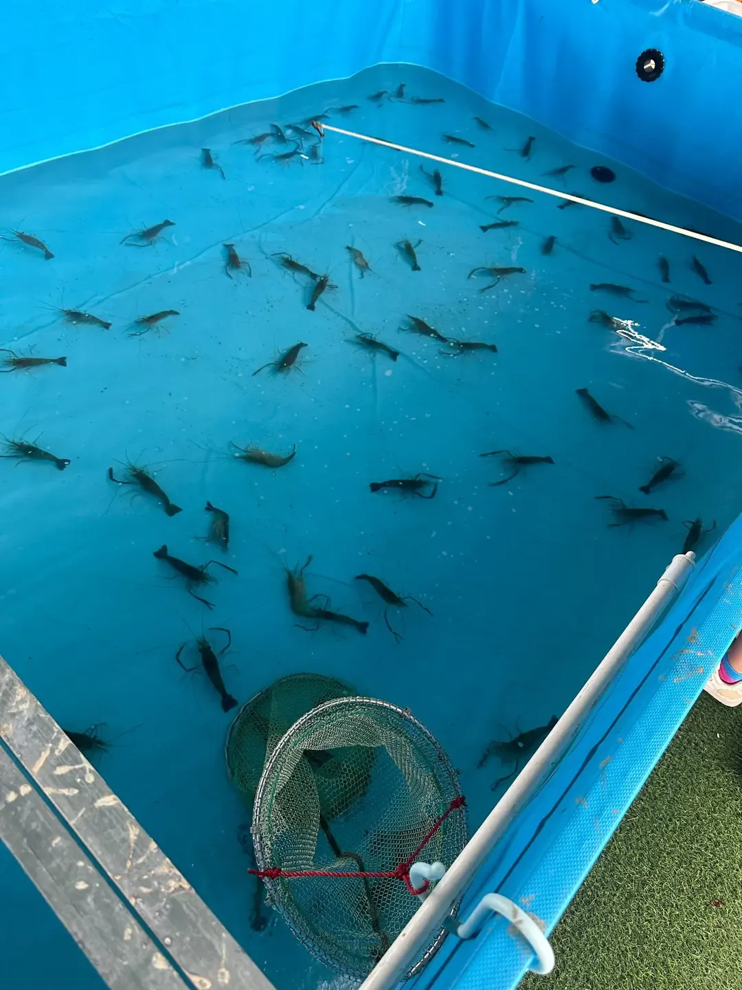 入秋燒烤場推介|富來休間農莊(元朗)