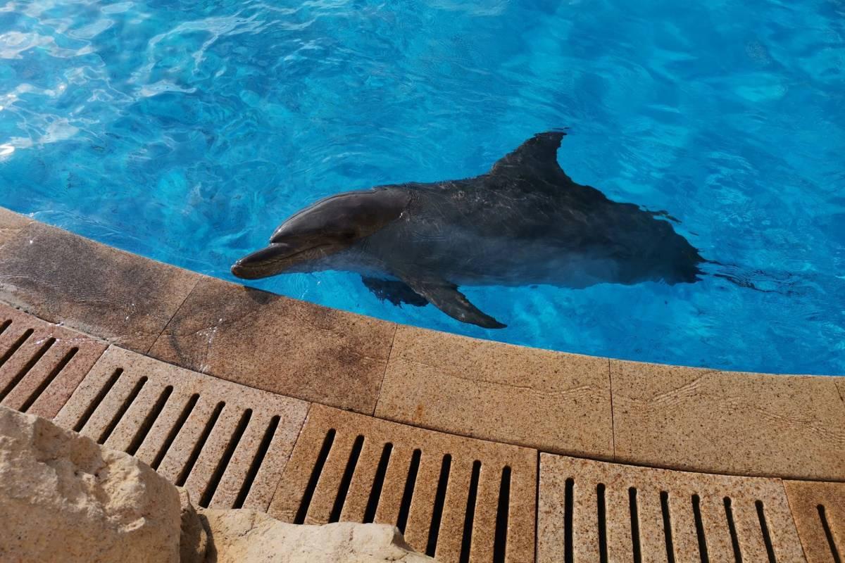 珠海好去處|長隆橫琴灣水世界(圖片來源Trip.com)