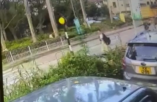 錦上路發生交通意外。(網上影片截圖)