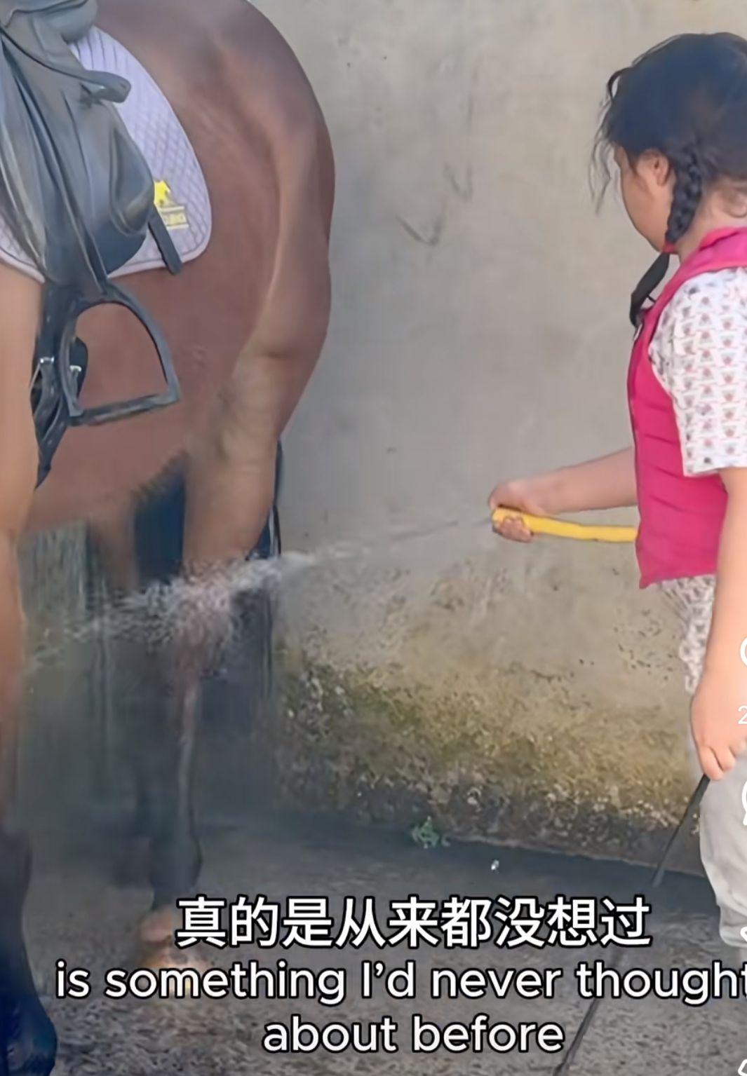 張曼玉分享去年四月拍攝的短片,在法國波爾多的大自然下體驗了幾天。