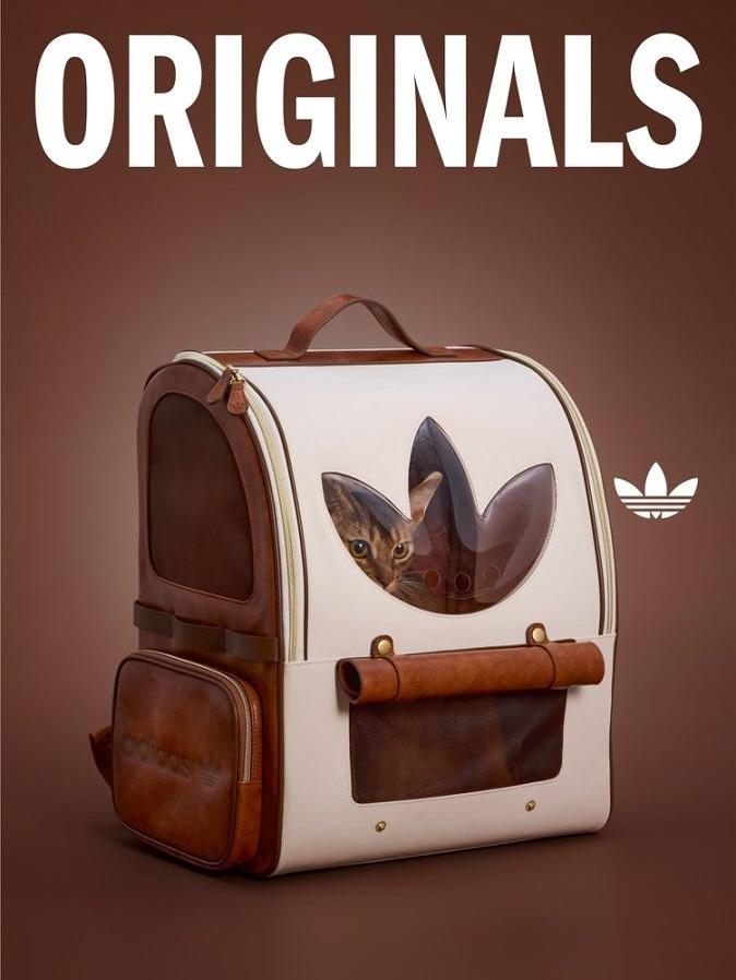 adidas Originals寵物背囊
