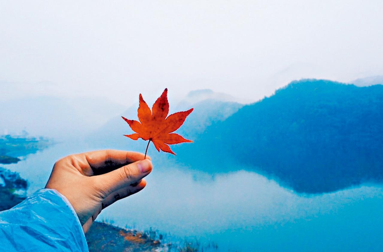 韓國 忠清北道 莎莉 散步絮語