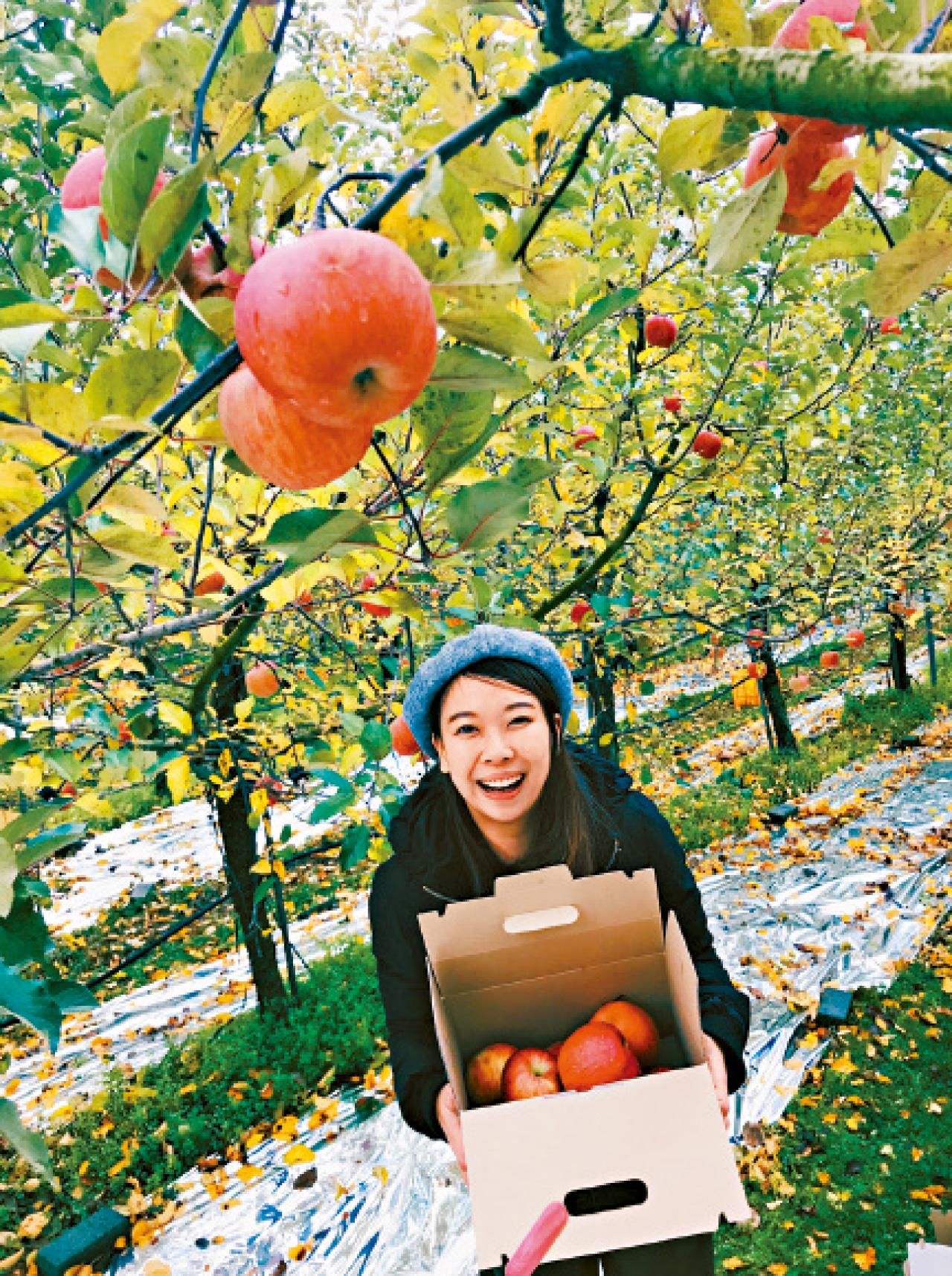 韓國 忠清北道 莎莉 散步絮語
